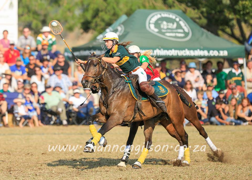The Horse | Polocrosse South Africa